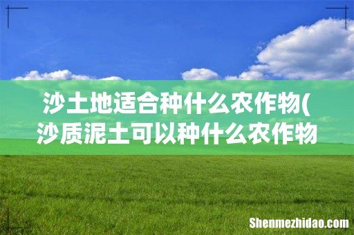 沙质泥土可以种什么农作物? 沙土地适合种什么农作物