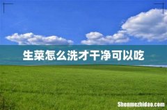 生菜怎么洗才干净可以吃