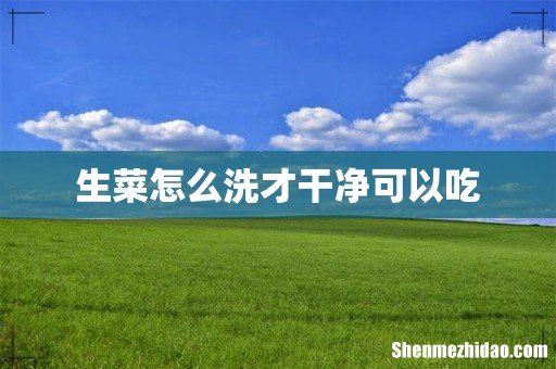 生菜怎么洗才干净可以吃