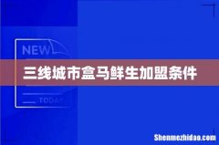 三线城市盒马鲜生加盟条件
