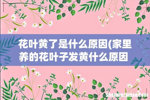 家里养的花叶子发黄什么原因 家里养的花叶子为什么发黄 花叶黄了是什么原因