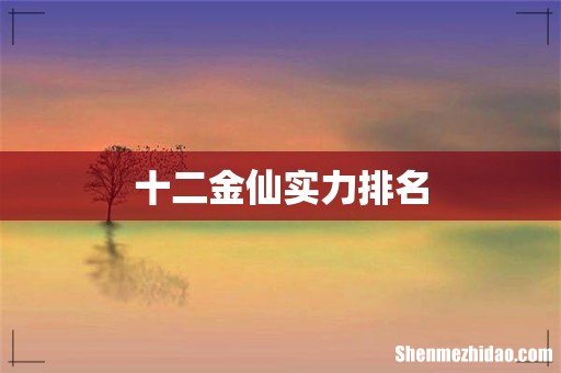 十二金仙实力排名