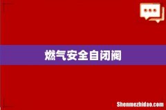 燃气安全自闭阀