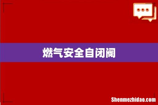 燃气安全自闭阀
