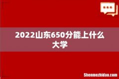 2022山东650分能上什么大学
