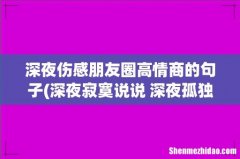 深夜寂寞说说 深夜孤独的伤感的句子(精选39句 深夜伤感朋友圈高情商的句子)