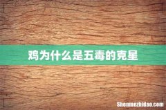 鸡为什么是五毒的克星