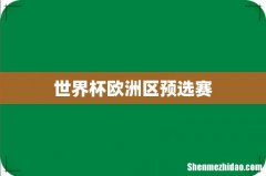 世界杯欧洲区预选赛