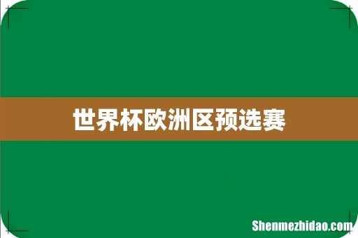 世界杯欧洲区预选赛