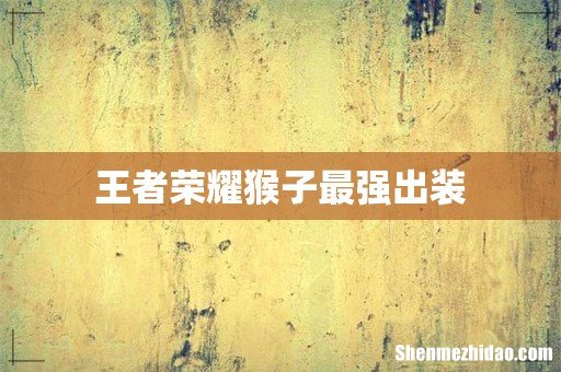 王者荣耀猴子最强出装
