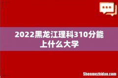 2022黑龙江理科310分能上什么大学