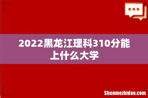 2022黑龙江理科310分能上什么大学