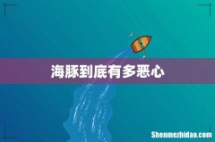 海豚到底有多恶心