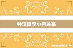 钟汉良李小冉关系
