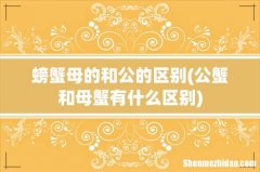 公蟹和母蟹有什么区别 螃蟹母的和公的区别