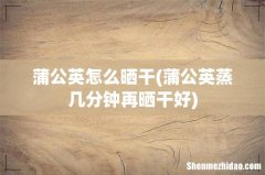 蒲公英蒸几分钟再晒干好 蒲公英怎么晒干
