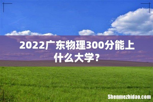 2022广东物理300分能上什么大学?