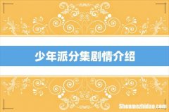 少年派分集剧情介绍
