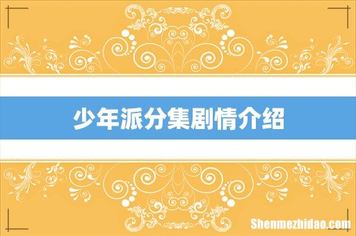 少年派分集剧情介绍