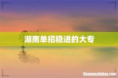 湖南单招稳进的大专