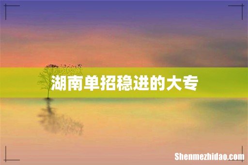 湖南单招稳进的大专