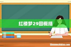 红楼梦29回概括