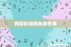 狗呕吐物颜色参照表