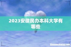 2023安徽民办本科大学有哪些