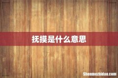 抚摸是什么意思