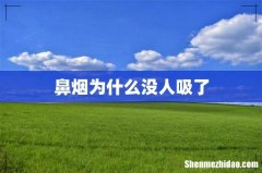 鼻烟为什么没人吸了