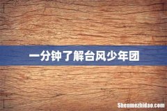 一分钟了解台风少年团