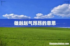 雄赳赳气昂昂的意思