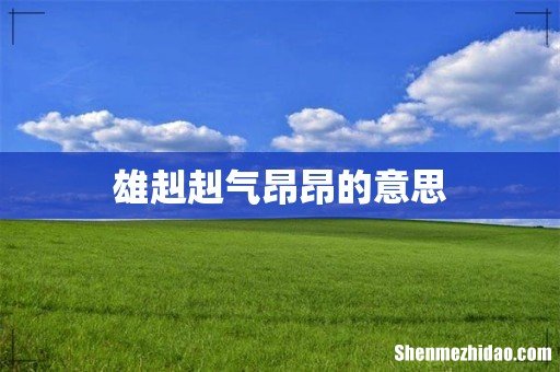 雄赳赳气昂昂的意思