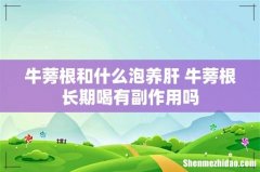 牛蒡根和什么泡养肝 牛蒡根长期喝有副作用吗