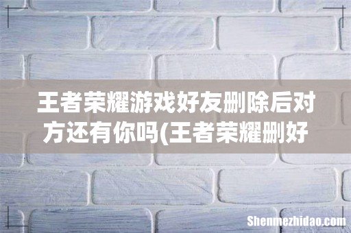 王者荣耀删好了对方好友列表里还会有我么 王者荣耀游戏好友删除后对方还有你吗