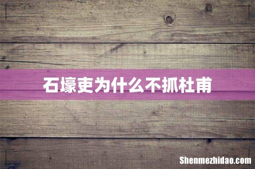 石壕吏为什么不抓杜甫