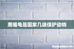 鹰嘴龟是国家几级保护动物