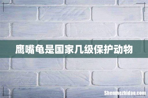鹰嘴龟是国家几级保护动物