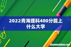 2022青海理科480分能上什么大学