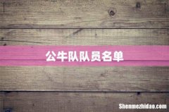 公牛队队员名单