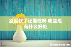 丝瓜软了还能吃吗 吃丝瓜有什么好处
