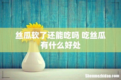 丝瓜软了还能吃吗 吃丝瓜有什么好处