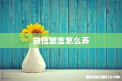 微信禁言怎么弄