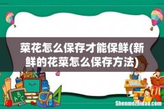 新鲜的花菜怎么保存方法 菜花怎么保存才能保鲜