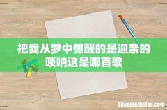 把我从梦中惊醒的是迎亲的唢呐这是哪首歌