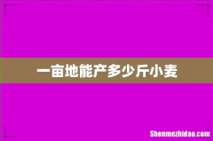 一亩地能产多少斤小麦