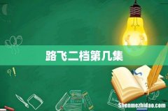 路飞二档第几集