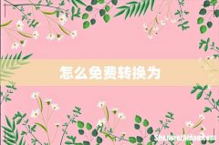 怎么免费转换为