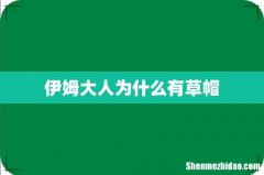 伊姆大人为什么有草帽