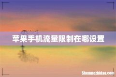 苹果手机流量限制在哪设置